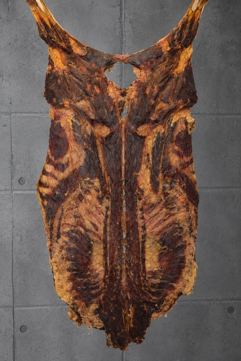 Ovcija lubina